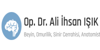 Prof. Dr. Ali İhsan Işık